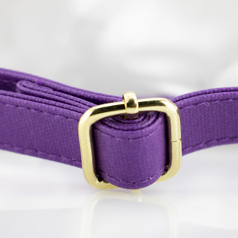 Small Crossbody - Purple and Clear