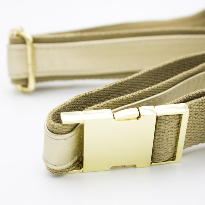 Belt Bag - Clear Bag with Gold Accents