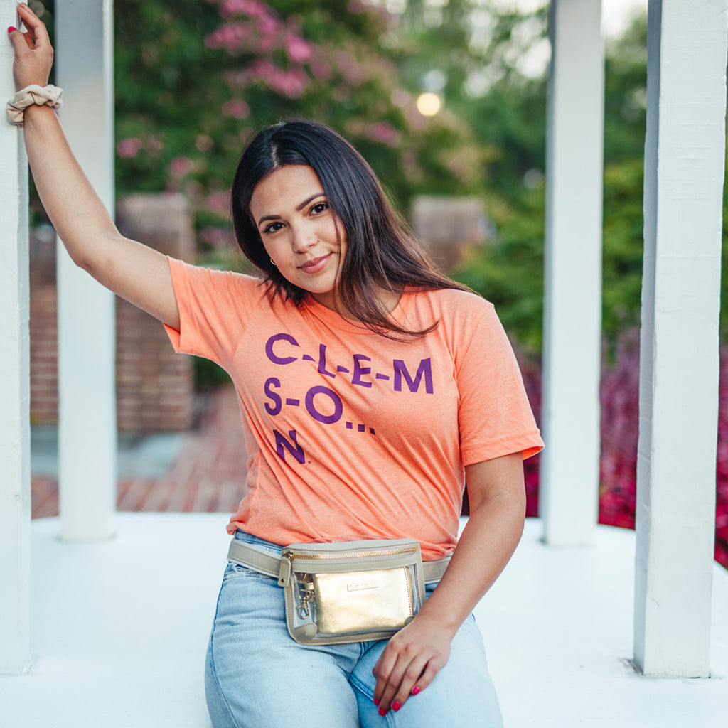 Belt Bag - Clear Bag with Tan and Gold Accents